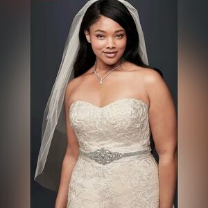 NWT David’s Bridal Size 20W Strapless Ivory/Champagne Wedding Dress